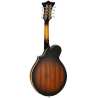 MANDOLINA TANGLEWOOD TWMFVSE