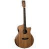 GUITARRA ACÚSTICA TANGLEWOOD SERIE WINTERLEAF EXOTIC PACIFIC WALNUT