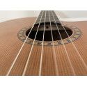 GUITARRA ADMIRA CROSSOVER CON FISHMAN PRESYS BLEND