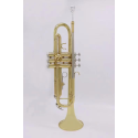 TROMPETA AMADEUS EN SIB TR600