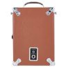 AMPLIFICADOR GUITARRA PIGNOSE