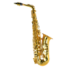 SAXO ALTO AMADEUS EN Mib
