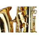 SAXO ALTO AMADEUS EN Mib