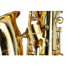 SAXO ALTO AMADEUS EN Mib