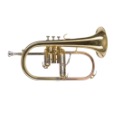 FLISCORNO AMADEUS PISTONES MONEL