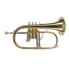 FLISCORNO AMADEUS PISTONES MONEL