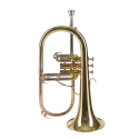 FLISCORNO AMADEUS PISTONES MONEL