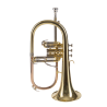 FLISCORNO AMADEUS PISTONES MONEL