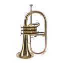 FLISCORNO AMADEUS PISTONES MONEL