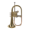 FLISCORNO AMADEUS PISTONES MONEL