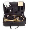 FLISCORNO AMADEUS PISTONES MONEL