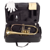 FLISCORNO AMADEUS PISTONES MONEL
