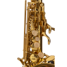 SAXO SOPRANO AMADEUS CURVO