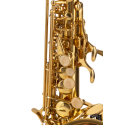 SAXO SOPRANO AMADEUS CURVO