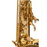 SAXO SOPRANO AMADEUS CURVO