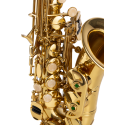 SAXO SOPRANO AMADEUS CURVO