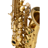 SAXO SOPRANO AMADEUS CURVO