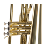 TROMBÓN AMADEUS DE TRES PISTONES