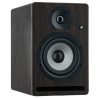 MONITOR DE ESTUDIO PRODIPE PRO5V4 PALISANDRO