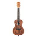 UKELELE CONCIERTO KALA GUIDANCE