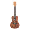 UKELELE CONCIERTO KALA GUIDANCE