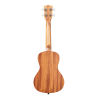 UKELELE CONCIERTO KALA GUIDANCE
