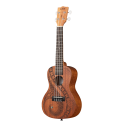 UKELELE CONCIERTO KALA GUIDANCE