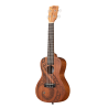 UKELELE CONCIERTO KALA GUIDANCE