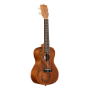 UKELELE CONCIERTO KALA GUIDANCE