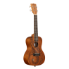 UKELELE CONCIERTO KALA GUIDANCE