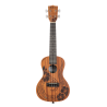 UKELELE CONCIERTO KALA UNITY