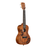 UKELELE CONCIERTO KALA UNITY