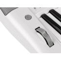 TECLADO MEDELI 61 TECLAS A300W