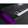 TECLADO MEDELI 61 TECLAS AKX10