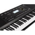 TECLADO MEDELI 61 TECLAS M361