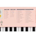 TECLADO MEDELI 37 TECLAS MK1/PK