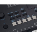TECLADO MEDELI 61 TECLAS MK110