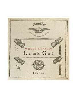 Cuerda  barroca Aquila tripa semirectificada 112HU