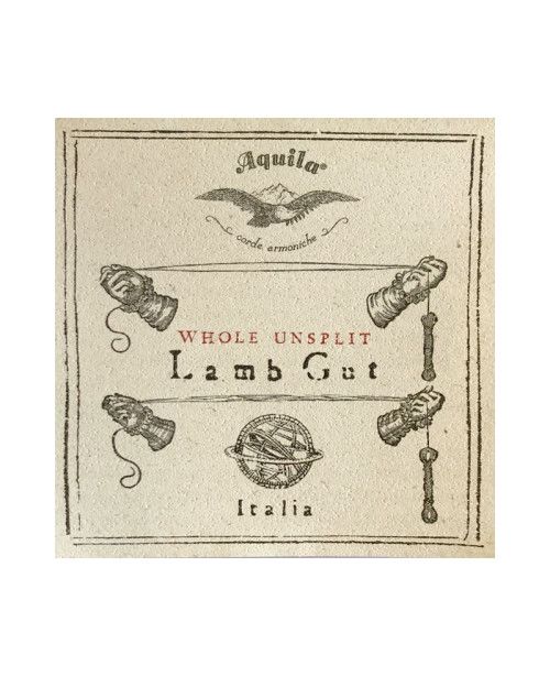 Cuerda  barroca Aquila tripa semirectificada 112HU