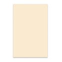 MATERIAL GOLPEADOR BOSTON 3C 45x29cm BLANCO