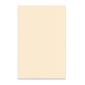 MATERIAL GOLPEADOR BOSTON 3C 45x29cm BLANCO