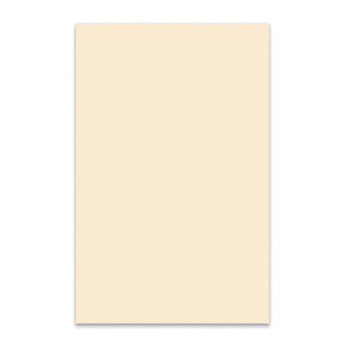 MATERIAL GOLPEADOR BOSTON 3C 45x29cm BLANCO