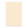 MATERIAL GOLPEADOR BOSTON 3C 45x29cm BLANCO