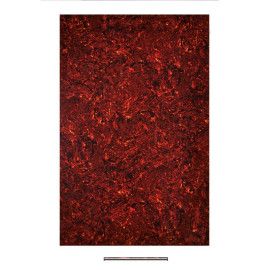 MATERIAL GOLPEADOR BOSTON 4C 45x29cm TORTUGA