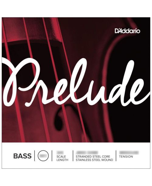 Cuerda contrabajo D'Addario Prelude J612 2ª Re Medium 1/8