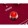 PEDAL FENDER SANTA ANA OVERDRIVE