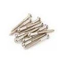 Tornillo Fender puente vintage Strat níquel 12ud