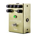 Pedal Pour Over Fender Envelope Filter