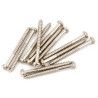 Tornillos pastillas Fender 4 x 1-1/4 12ud