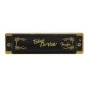 Armónica Fender Blues DeVille G
